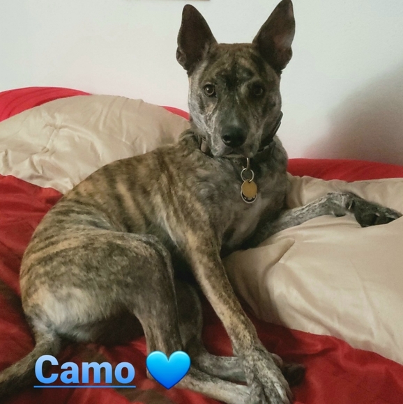 Meet Your Posh AMBASSADOR!! - Picture 7 of 11